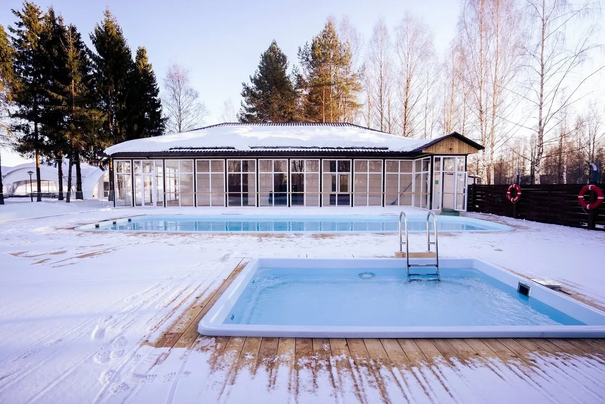 Laguna 4 — на участке в Брянске